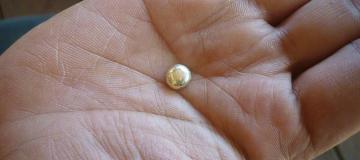 bullion di telapak tangan